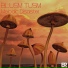 Blusm Tusm