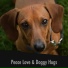 Dog Chill Out Music