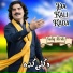Sadiq Afridi