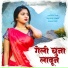 Santosh Pawar