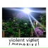 Violent Viølet