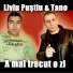 Liviu Pustiu