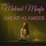 AMJAD ALAMEER