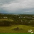 jambu juno
