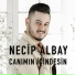 Necip Albay