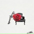 Carolo