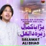 Salamat Ali Bhag