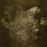 Jon Hasle