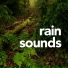 ASMR Rain Sounds