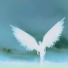 seyush