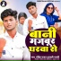 Rohit Raja, Anjali Bharti