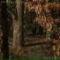 Altrusian Grace Media