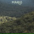 Taylor Maris, The Industry Plants