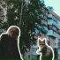 лилк