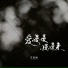 苏星婕