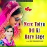 Devi Shankar Saini