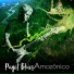 Puget Blues