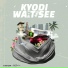 kyodi, ZJ Chrome