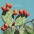 Lō-fÿkkø, soave lofi