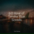 Nature Noise, Sol y Lluvia, Chillout Lounge