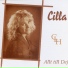 Cilla Hector