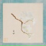 Synfilums