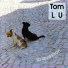 Tom Lu