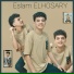 Eslam Elhosary
