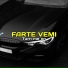 Farte Vemi