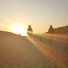 Bright Dust