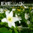 Enemark