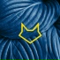 DRN