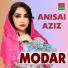 Анисаи Азиз Anisai Aziz