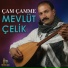 Mevlüt Çelik