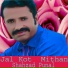 Shahzad Ponal