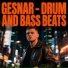GesNar