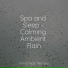 Sol y Lluvia, Calming Sounds, Loopable Rain