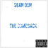 Sean don feat. DIZZY WRIGHT