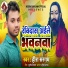 Heera Sargam
