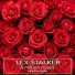 Lex-Stalker