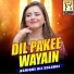 Ashique Ali Solangi
