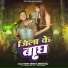 Rohit Singh, Neha Raj