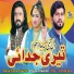 Nazish Zaman Amir Sheikh feat. Shama Hashmi
