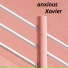 Xavier