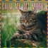 Cat Music Therapy, RelaxMyCat