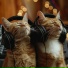 The Cat Relaxer, Sleeping Frequencies, Tiki Kora