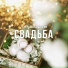 Генералов Дмитрий