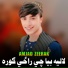 Amjad Zeerak