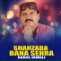 Babal Jamali