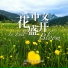 张雅淇, 李怡霖